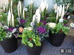 『愛と花いっぱい』キャンペーン