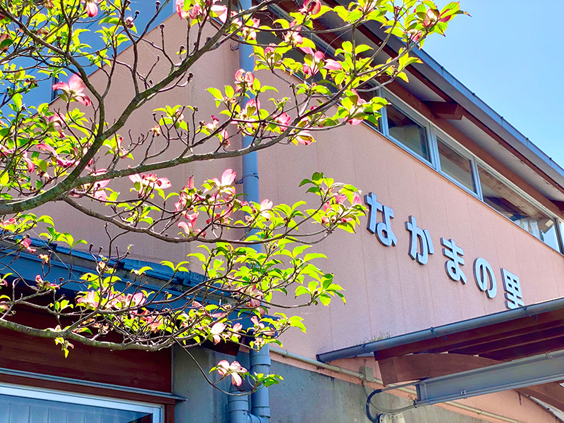 ホール
